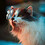 Officel_test